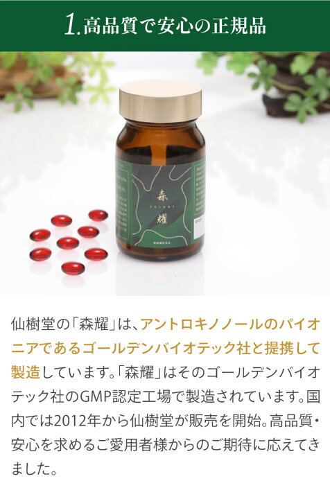 楽天市場】【36箱 (1年分) セット】 森耀 高濃度 アントロキノノール 