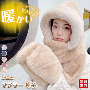 }t[ Xq ~ fB[X t[ht ̉ }t[ lbNEH[}[ Xg[ h RR fB[X ₦΍ 