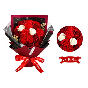 \[vt[u[P ԑ ͂Ȃ  Ǝ ̓ [Y J[l[V [J CeA w  a j v[g bZ[WJ[ht