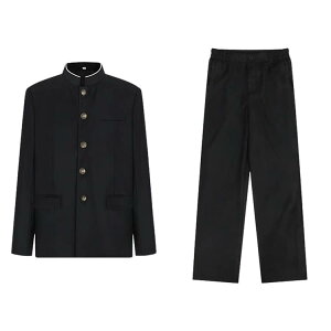 上下 学生服 標準 男子学生服 | 通販・人気ランキング - 価格.com