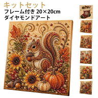 枠+キットセット 20×20cm ダイヤモンドアート キット フレーム付 クリスマス ハロウィン パールアート …