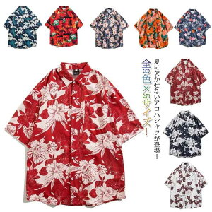 AnVc Y fB[X  QXg  S9F   J݃Vc Vc nCA  ĕ C r[` yA ][g ][gEGfBO Q҈ߑ s 