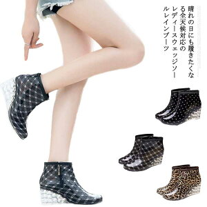 ^ CV[Y ɂȂ h Cu[c fB[X ~J J  EFbW\[ 䕗 fB[X EFbWq[ ₷  ubN ʕ C `FbN 6cmq[