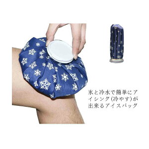 ACXobO ACVO  X|[c N[_E Ђ MǑ΍ XX PK M RꂵȂ݌v   p  싅