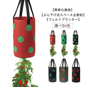 壁掛け式 プランター 2個セット 不織布 3ガロン フェルト 植物栽培バッグポット 植木鉢 植え袋 おしゃれ 13穴 多機能 布鉢 植物育成 野菜栽培 トマト栽培バッグ いちご 栽培袋 鉢植え 花 軽い