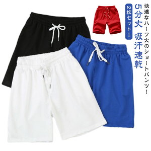 Y St Zp r[`pc pc bV n 傫TCY z JWA  V[gpc X|[cEFA r[`pc EGXgS Xgb` WjA 5 Y