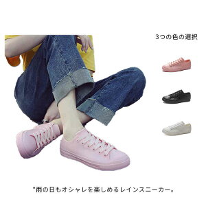 CXj[J[ CV[Y h fB[X [Jbg y JC ~ ʋ ʊw _炩 ₷ ɂ ʔN ~J΍