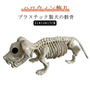  Cxg [ Aj}  ̊[  u nEB  O hN    nEB[  t 蕨 z[ p[eB[   [  n