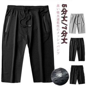 ڐG⊴ V[gpc ACXVNpc Y z 5 7 pc bV {gX G Xgb`    傫TCY hC W[W X|[cEFA [