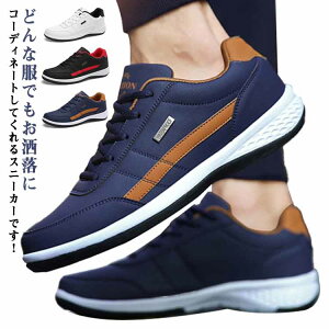 240|290mm!jOV[Y Y ^C Xj[J[ 傫TCY JWAV[Y X|[cV[Y g[jOV[Y EH[LO V[Y C y ʋ ʊw