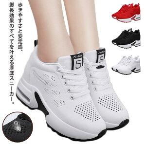 Xj[J[  fB[X Cq[Xj[J[ Xj[J[ V[NbgV[Y r q[Abv V[Y ₷ ɂ i[XV[Y  傫TCY