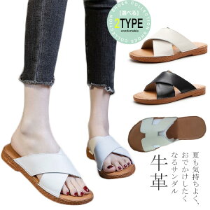 tbgT_ fB[X ɂ ₷ NXxg n vC v JWA l 킢  XG[h f y ϋv v  JWA RtH[gV[Y