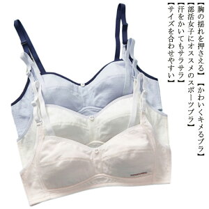 uW[   q WjA  X|[cu WjAu w ̎q w L~\[ X|[c u w XN[Ci[ X|u X|[cu WjA