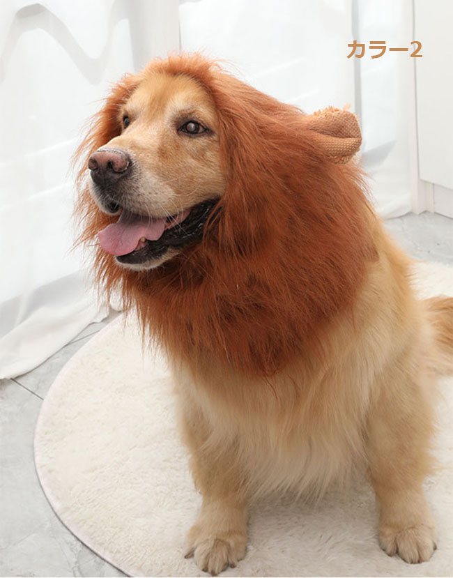 楽天市場】被り物 ペット ウィッグ ライオンに変身 猫用帽子 犬用帽子