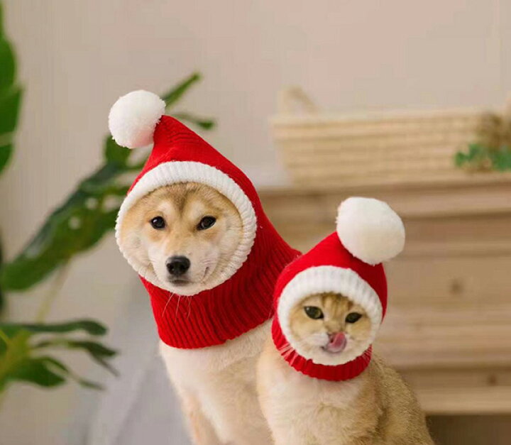楽天市場】ペット クリスマス ペット クリスマスコスプレ 犬猫用 