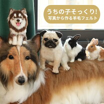 楽天市場】羊毛フェルト オーダーの通販
