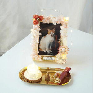 ybg Zbg ybgʔv I[_[ ʐ^ ʐ^  ybg tHgv[g  L I[_[Ch IWi e ybgd ybg A AObY hC