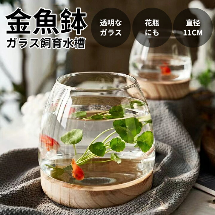 金魚鉢, 金魚鉢 厚みのある透明ガラス水槽 リビングルーム デスクトップ タートルタンク(21.3cmx15.4cm) Amazon.co.jp:  金魚鉢花瓶 デスクトップ透明なガラスゴールドフィッシュタンク装飾用水槽ベースの小さなタートル水槽オフィスホーム水族館 小型水槽スターターキット ... 金魚鉢, 金魚鉢 厚みのある透明ガラス水槽 リビングルーム デスクトップ タートルタンク(21.3cmx15.4cm)