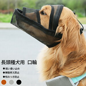    ̃}Y J h~ EH~ ݃OZ ʋCQ p}Y   ʖi ݂h~ LYȂߖh~ pi 6TCY U P 