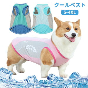 N[xXg p L ybg S`4XL MǑ΍ ЂxXg ⊴ p ΍ ybgp  hbOEFA EFA ^ ^ ڐG⊴ p ₷ M˕a\h ^  