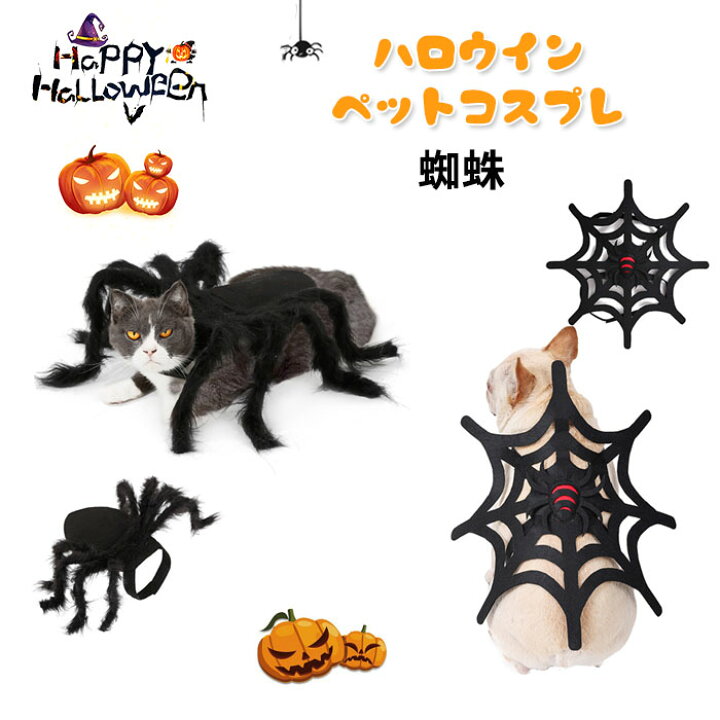 楽天市場】ハロウィン コスプレ 仮装 コスチューム クモ 黒蜘蛛 小型の 