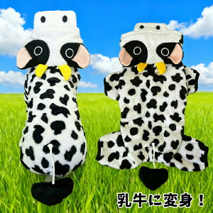 ybg  p[J[  ɕϐg  N ybgEFA hbOEFA WPbg h H ~ t[ht pi  pi ybgpi  ^ ^ L  