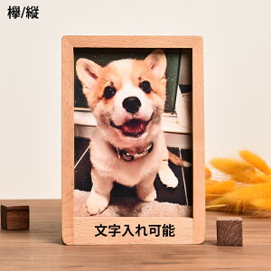 \ tHgt[ ʐ^ ʐ^ ybg A ʐ^ v[g ʔv 蕨 tHgX^h  ybg{  AObY e ʐ^  y