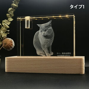 ybg Zbg NX^ʔv ybgʔv I[_[   IWieBybg tHgv[g I[_[Ch IWi e ybgd ybg [U[ A tHg