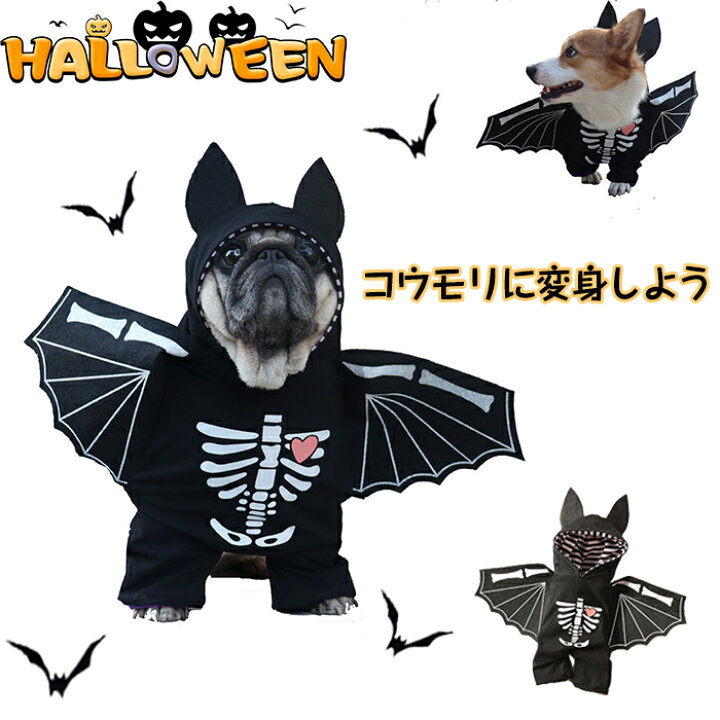 楽天市場】ハロウィン 衣装 猫 犬 コウモリ かわいい 猫変身 犬変身 