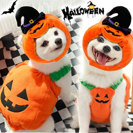 ハロウィン 衣装 猫 犬 かぼちゃの犬服 かぼちゃ カボチャ 2点セット 被り物 ペット帽子 猫変身 犬変身 変身 写真撮り おもしろい ドッグウェア コスチューム コスプレ服 着せやすい 仮装 小型犬 仮装 変装 秋冬服 可愛い オシャレ