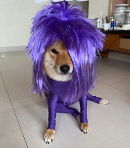 nEB EBbO ybgp RXv L RX`[ RX`[ ObY  񂩂 ybg    ϐg ̕ p  p[eB[ a