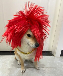 nEB EBbO ybgp RXv L RX`[ RX`[ ObY  񂩂 ybg    ϐg ̕ p  p[eB[ a