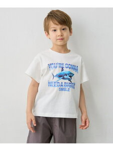 �y����@�\�z�T���v�����g ����T�V���c ANY KIDS �G�j�B �g�b�v�X �J�b�g�\�[�ET�V���c �z���C�g �l�C�r�[[Rakuten Fashion]