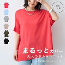 【マラソン SALE 30%OFFクーポン 4/11 9:59迄】ドライタッチドルマンニット マシンウォッシャブル 洗濯可能 anyfee エニフィー 大きいサイズ プラスサイズ レディース LL 3L 4L 5L ぽっちゃり ゆったり 体型カバーチュニック