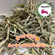 【any grass】 オーストラリア産 ウィートヘイ VICプレミアム 800g~10Kg