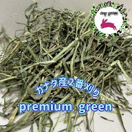 【any grass】 カナダ産 チモシー 2番刈り premium green 800g~10Kg 再入荷 牧草 スポット商品
