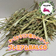 【any grass】 オーストラリア産 ウィートヘイ BALCO 800g～10Kg 牧草