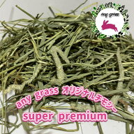 【any grass】 R7年 USA産 オリジナルチモシー 1番刈り super premium 800g~10Kg 新物 牧草