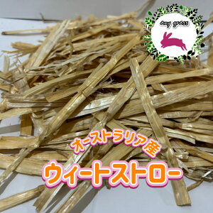 yany grassz I[XgAY EB[gXg[ 1~10Kg q 