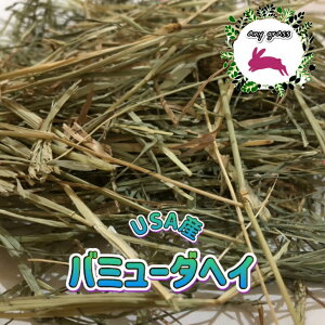 yany grassz USAY o~[_wC 5Kg q 