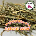 【any grass】 オーストラリア産 ウィートヘイ natural color 1~10Kg 牧草