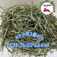【any grass】 カナダ産 チモシー 2番刈り ソフトプレミアム Leaf 800g~10Kg 牧草