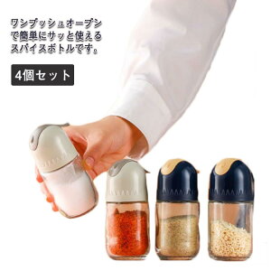 e ӂ XpCX XpCX{g {g KXr 4Zbg KX{g KXr ӂ vbV  ۑe XpCX {g XpCXP[X XpC