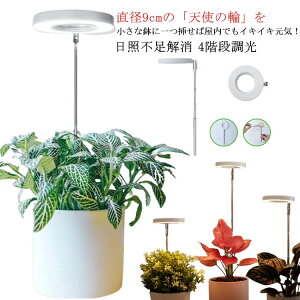 led z LEDA琬Cg USB  X^h ƕs ⑫ z ϗtA琬 Lk^Cv A A𑣐i LED A琬 Cg Aؔ ϗtA A ϗtA