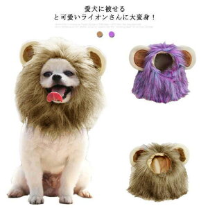  Xq EBbO CI Ă ybg Xq L ˂ ^ ^ t Xq 蕨 Ck  ̖Xq ybg RX`[ RXv  LbgEGA hbOEGA nE