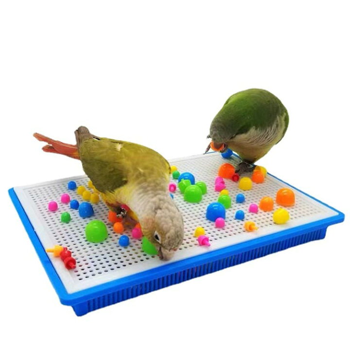 楽天市場】 小鳥のおもちゃセット オカメインコ 鳥のおもちゃ 
