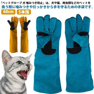 5{w ybgO[u ݂h~  h~ lR ybg  L  ݂ Z[teBO[u ybg O[u | 60cm  Ɨp  L v   K[fjO ϖ