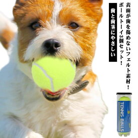犬用 耐久性 テニスボール型 オモチャ ふれあいトイ 小型犬 玩具 おもちゃ 3個セット　コミュニケーション