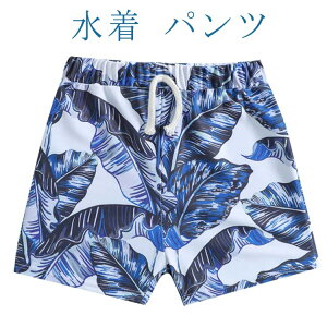  LbY v[ j̎q Cp r[`pc n[tpc qp XC~O pc T[tpc w Vv ԕ  V j pc p X|[c V[gpc