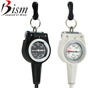 BISM r[CY Q[W cv SINGLE LIGHT GAUGEVOCgQ[W GK2410K / W